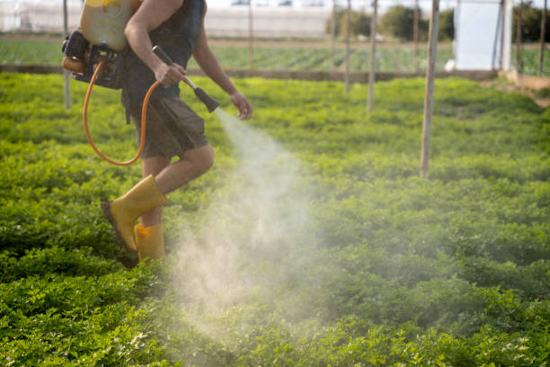 Best Affordable Pest Control Services  in North Browning, MT