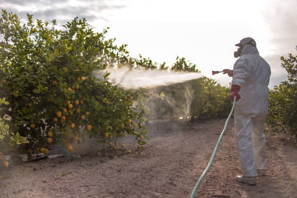 Pest Control for Restaurants in North Browning, MT