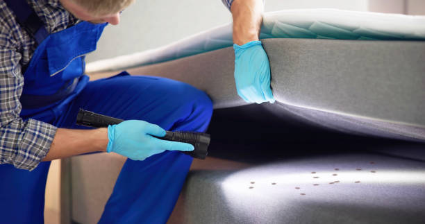Best Best Pest Control Near Me  in North Browning, MT