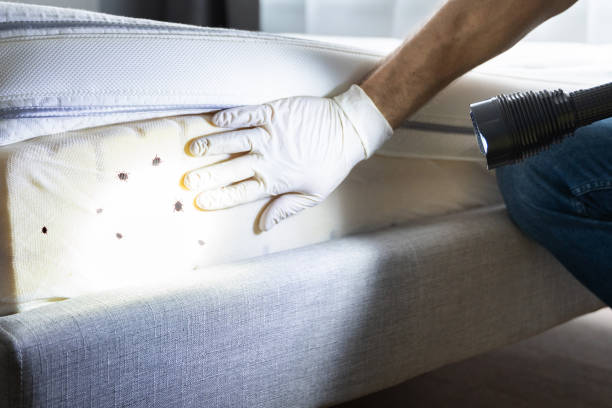 Best Residential Pest Control  in North Browning, MT