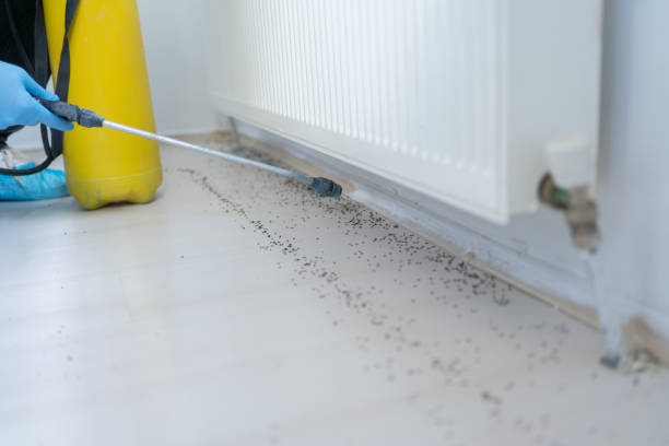 Best Pest Control Near Me  in North Browning, MT