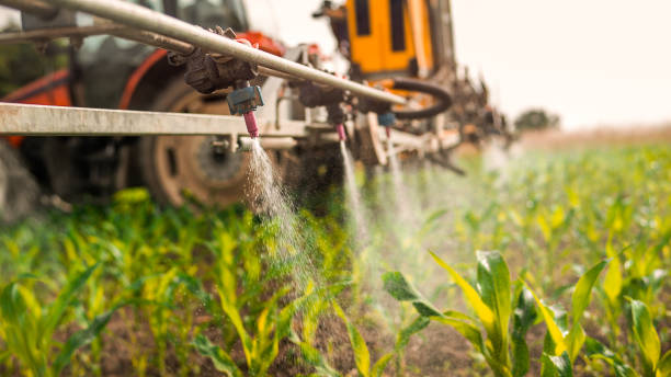 Best Pest Removal Services  in North Browning, MT