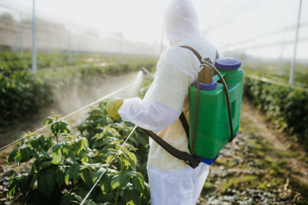 Flea Control Services in North Browning, MT
